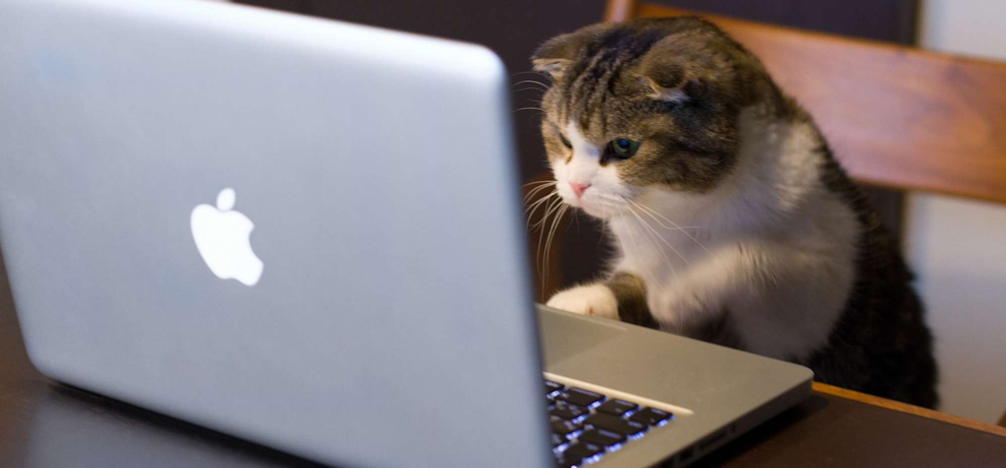 Día internacional de la Seguridad en Internet: 10 consejos de seguridad.