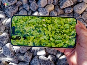 Apple iPhone 15 Plus Peso